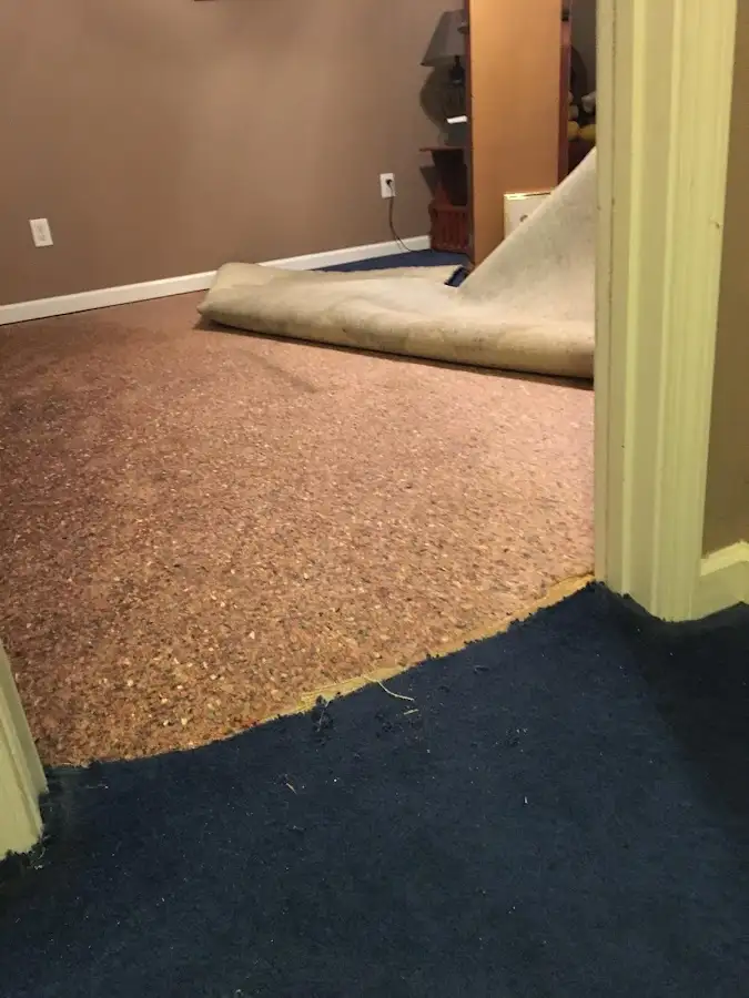 Carpet pad removal revealing water damage during Water Mitigation Services in Milford Mill