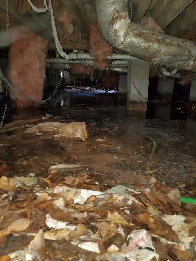 Crawl space flood assessment for Leak Detection & Repair in Milford Mill