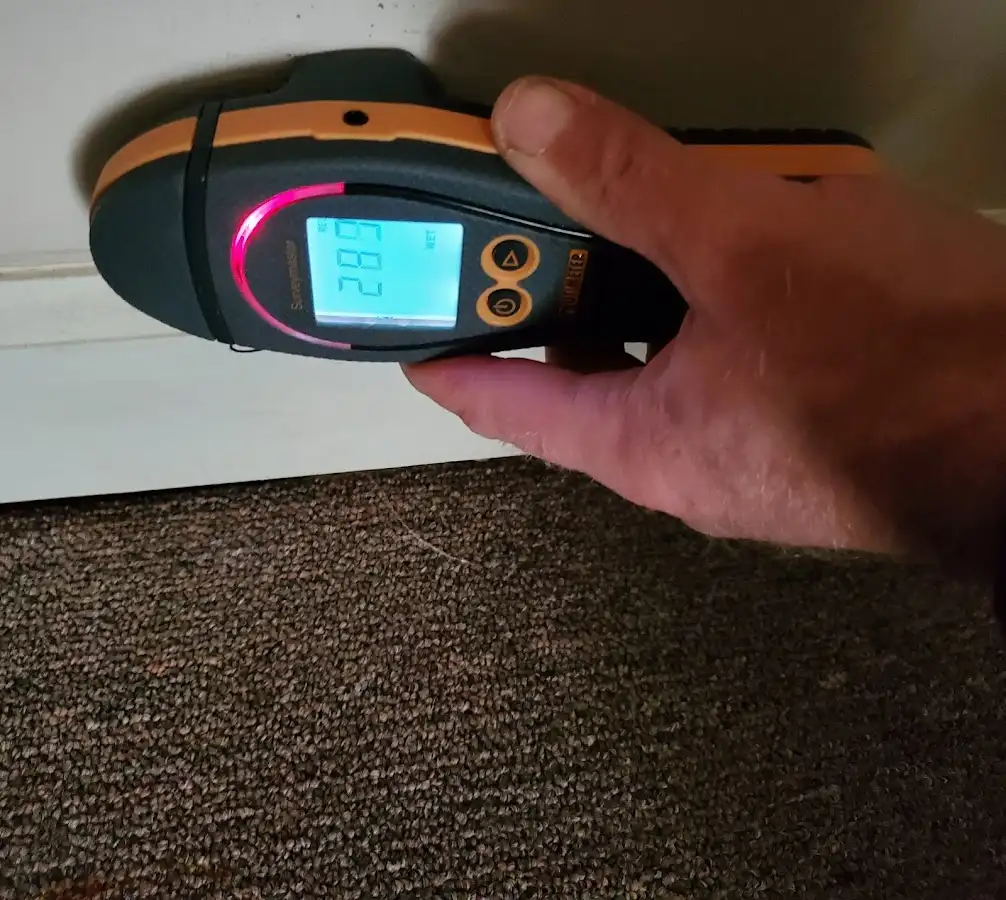 Moisture detection at baseboard during Sewage Cleanup & Sanitation in Milford Mill